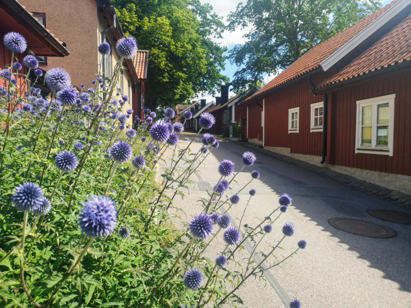 Upptäck pittoreska Sigtuna stad